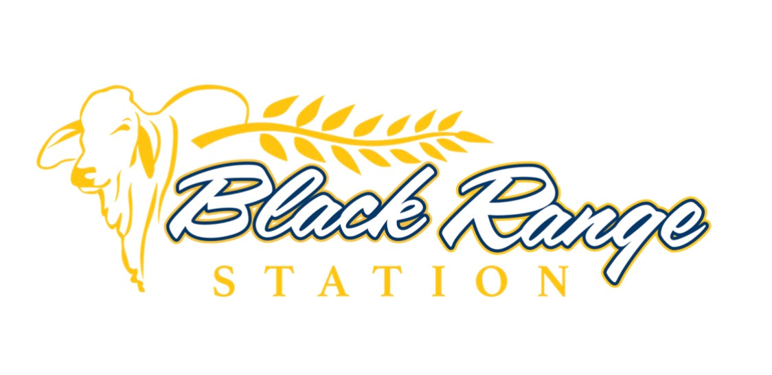 Black Range Station Apparel